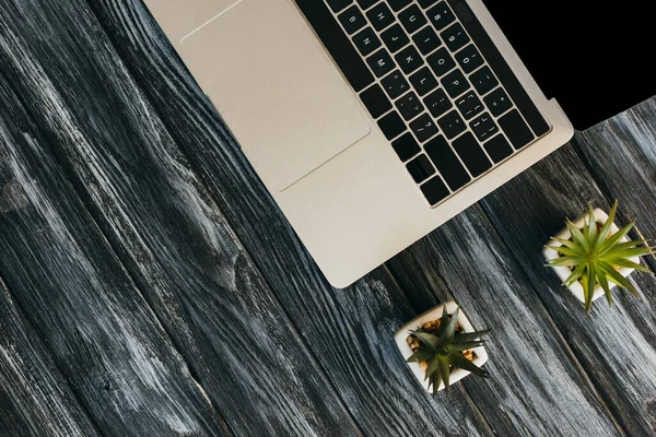 Vista superior de la computadora portátil y plantas de la casa en la superficie de madera oscura - foto de stock