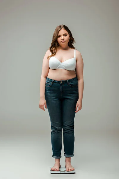 Plus size girl in jeans and bra standing on scales and looking at camera on grey — Stock Photo