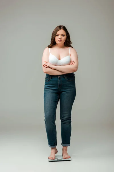 Plus size girl in jeans and bra standing with crossed arms on scales and looking at camera on grey — Stock Photo