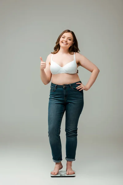 Happy plus size woman in jeans and bra standing on scales and showing thumb up on grey — Stock Photo