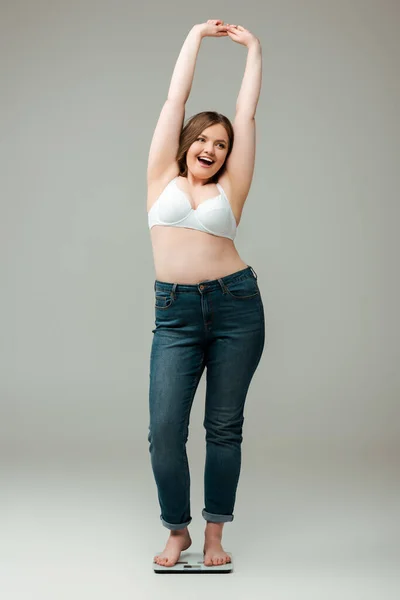 Happy plus size woman in jeans and bra standing with hands above head on scales and smiling on grey — Stock Photo