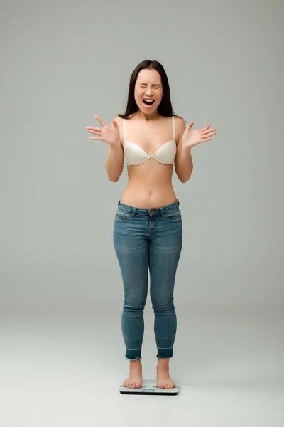 Upset asian overweight girl in jeans and bra standing on scales and screaming on grey — Stock Photo