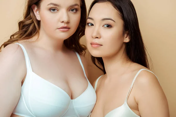 Sobrepeso mujer y asiático chica en ropa interior aislado en beige, cuerpo positivo concepto - foto de stock