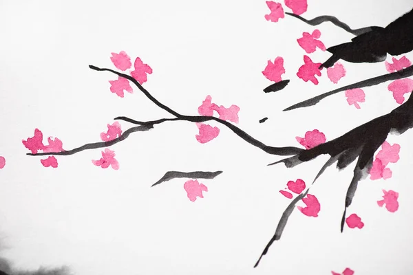 Japanese painting with Sakura branches with flowers on white — Stock Photo