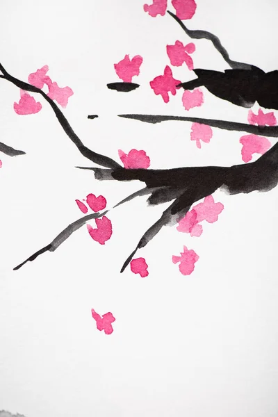 Japanese painting with Sakura branches with flowers on white background — Stock Photo