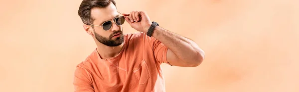 Панорамний знімок стильного молодого чоловіка, що позує в шортах, літня футболка і сонцезахисні окуляри на бежевому — стокове фото