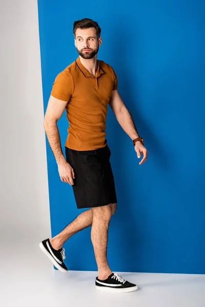 Bearded young man posing in shorts and brown polo on grey and blue — Stock Photo