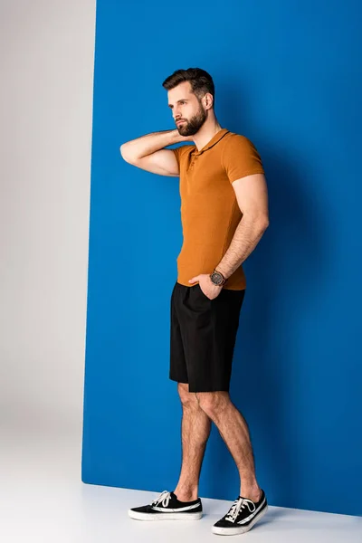 Handsome fashionable man posing in shorts and brown polo on grey and blue — Stock Photo