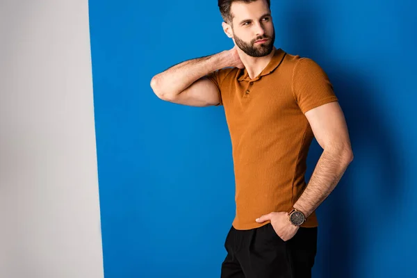 Handsome stylish man posing in shorts and brown polo on grey and blue — Stock Photo