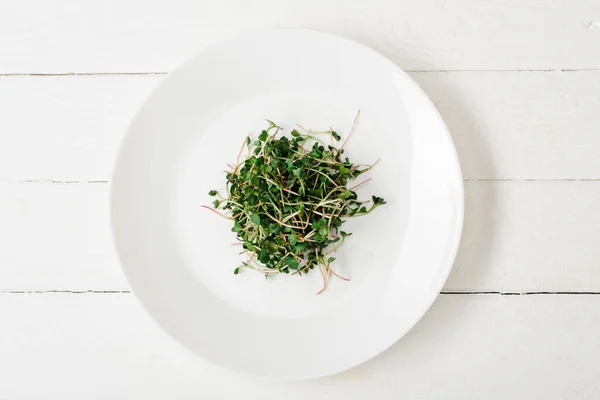 Top view of fresh microgreen on plate on white wooden surface — Stock Photo