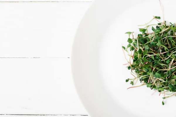 Vue de dessus de microgreen frais sur plaque sur surface en bois blanc — Photo de stock