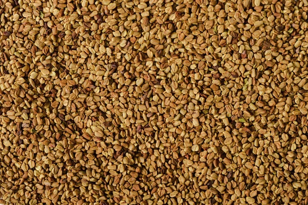 Close up view of natural fenugreek background — Stock Photo