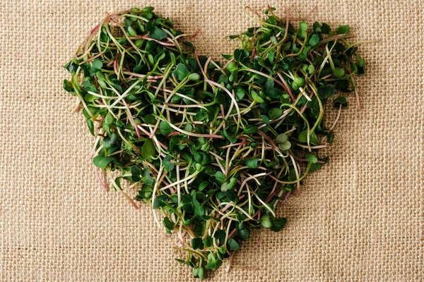 Top view of fresh microgreen arranged in heart on sackcloth — Stock Photo