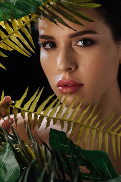 Portrait de belle femme regardant la caméra à travers les feuilles vertes isolées sur noir — Photo de stock