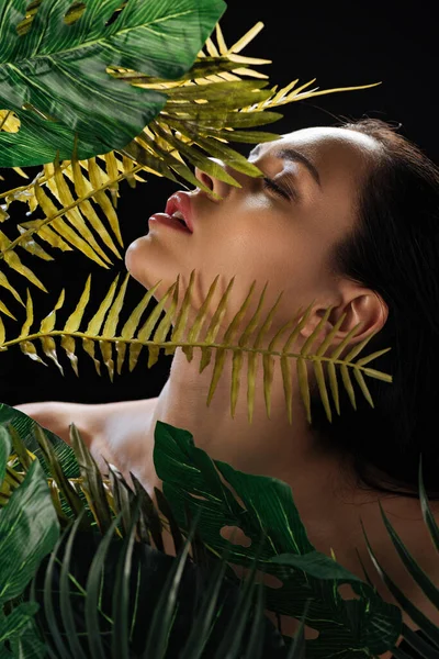 Sexy girl with closed eyes near monstera and fern green leaves isolated on black — Stock Photo