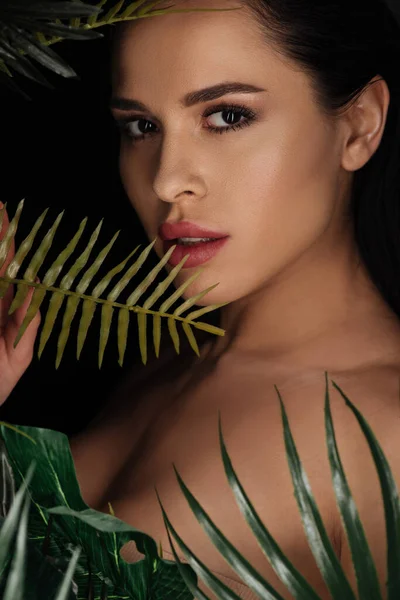 Portrait de belle fille regardant la caméra à travers les feuilles vertes isolées sur noir — Photo de stock