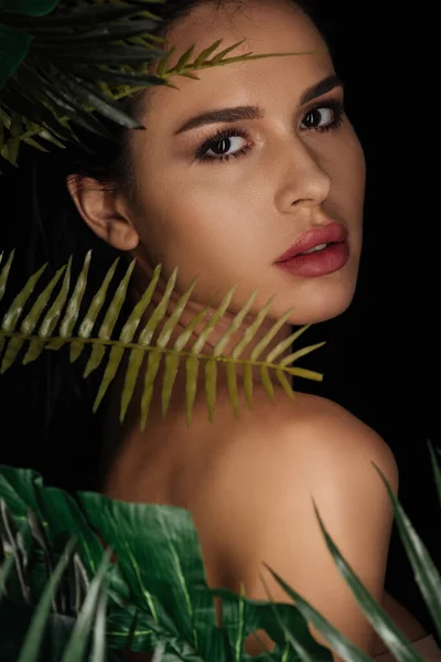 Porträt eines attraktiven Mädchens in der Nähe Blätter Blick auf Kamera isoliert auf schwarz — Stockfoto