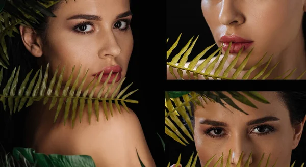 Collage of beautiful woman looking at camera with fern leaves on black, panoramic shot — Stock Photo