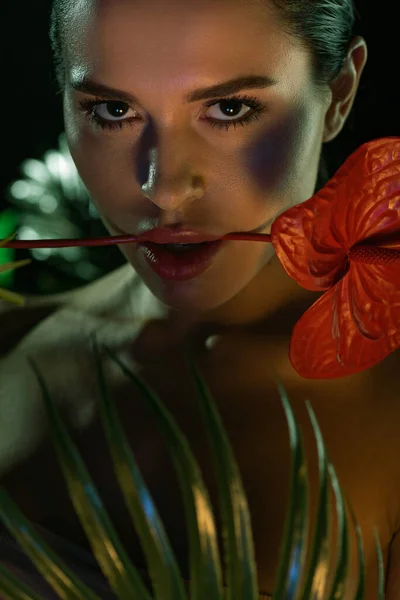 Femme avec anthurium et feuilles vertes regardant la caméra isolée sur noir — Photo de stock