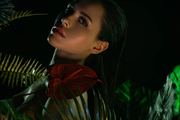 Selective focus of sexy woman with anthurium and leaves looking at camera isolated on black — Stock Photo