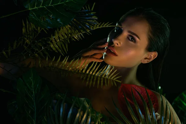 Fille attrayante avec la fleur touchant le visage derrière les feuilles vertes isolées sur noir — Photo de stock