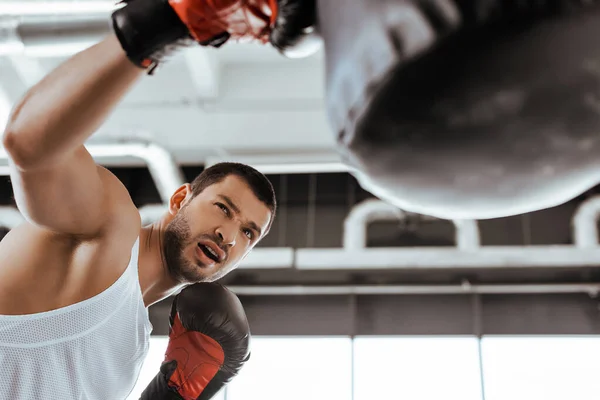 Enfoque selectivo del deportista barbudo en guantes de boxeo haciendo ejercicio con saco de boxeo - foto de stock