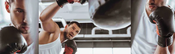 Collage of emotional and handsome sportsman in boxing gloves training with punching bag in sports center — Stock Photo