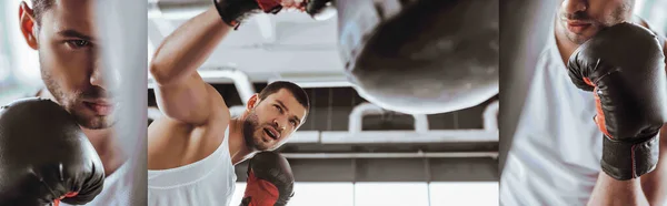 Collage di sportivo emotivo e bello in guanti da boxe allenamento con sacco da boxe nel centro sportivo — Foto stock