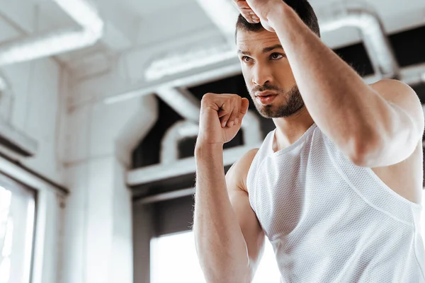 Strong fighter with clenched fists training in sports center — Stock Photo
