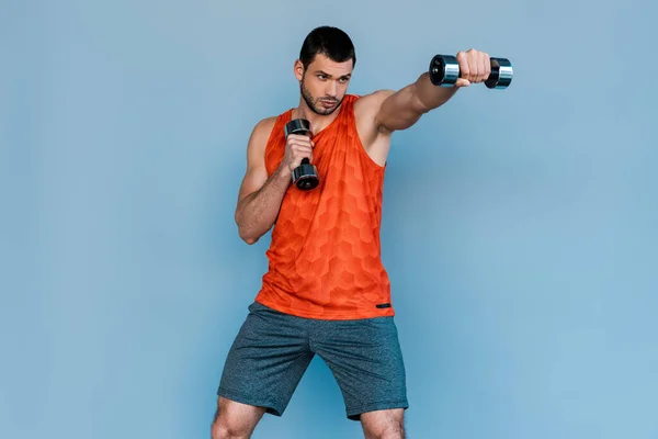 Bearded sportsman boxing with dumbbells isolated on blue — Stock Photo