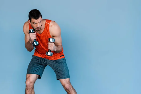 Bearded sportsman exercising with dumbbells isolated on blue — Stock Photo