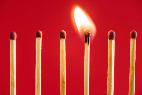 Match with fire among burned matches on red — Stock Photo