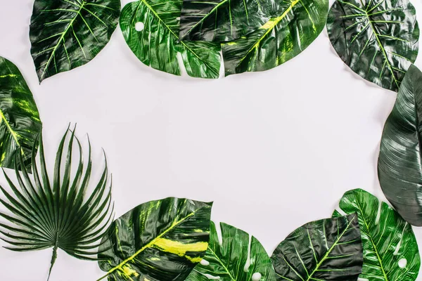 Vista superior del marco de hojas de plantas tropicales sobre superficie blanca - foto de stock