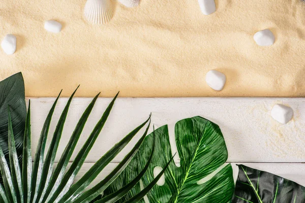 Top view of green leaves on white wooden planks and sea stones on sand — Stock Photo