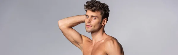 Horizontal crop of muscular man touching hair and looking at camera isolated on grey — Stock Photo