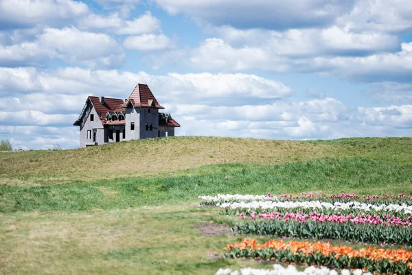 Casa en la colina cerca de coloridos tulipanes campo y cielo azul con nubes - foto de stock