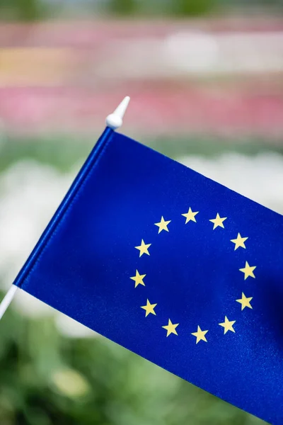 Selective focus of blue flag of Europe with stars — Stock Photo