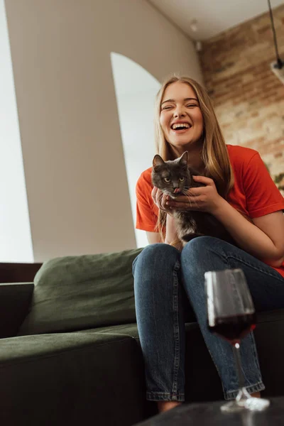 Fuoco selettivo di donna allegra che tiene il gatto carino vicino a vetro di vino rosso — Foto stock