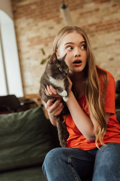 Surprised girl looking away and holding in arms cat — Stock Photo