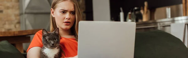 Horizontal image of attractive freelancer using laptop near cat in living room — Stock Photo
