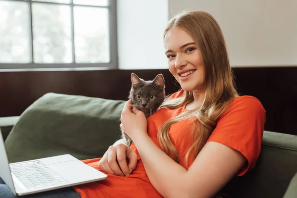 Happy freelancer touching cute cat near laptop in living room — Stock Photo