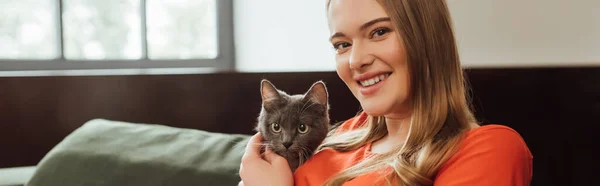 Горизонтальная концепция счастливой девушки, касающейся милой кошки в гостиной — стоковое фото