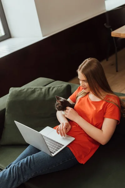 Schöne Freiberuflerin berührt süße Katze und schaut auf Laptop im Wohnzimmer — Stockfoto