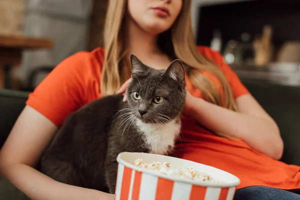 Messa a fuoco selettiva di carino gatto vicino giovane donna e popcorn secchio — Foto stock