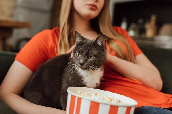 Foco seletivo de gato bonito perto de mulher jovem e balde de pipoca — Fotografia de Stock