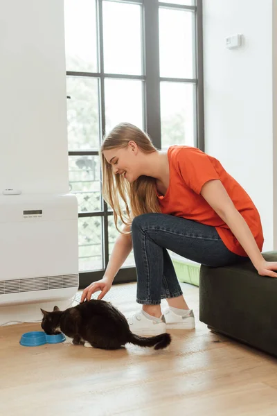 Young and happy woman touching cat eating pet food in living room — Stock Photo