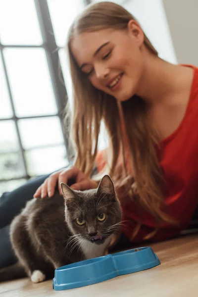 Selective focus of happy woman touching cat near bowl on floor — Stock Photo