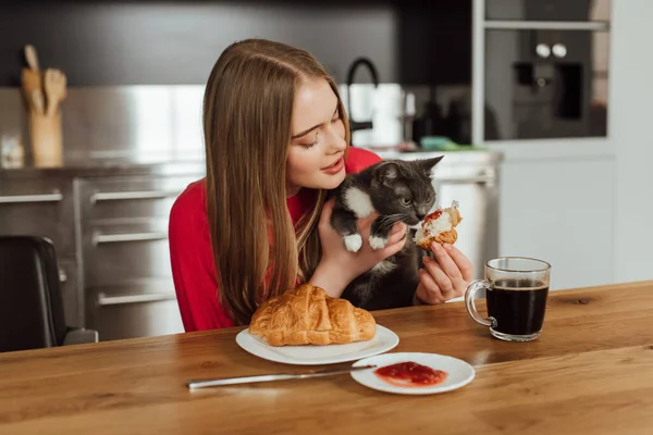 Attractive woman holding tasty croissant near cute cat — Stock Photo