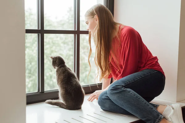 Hermosa mujer sentado en ventana alféizar y mirando ventana cerca lindo gato - foto de stock