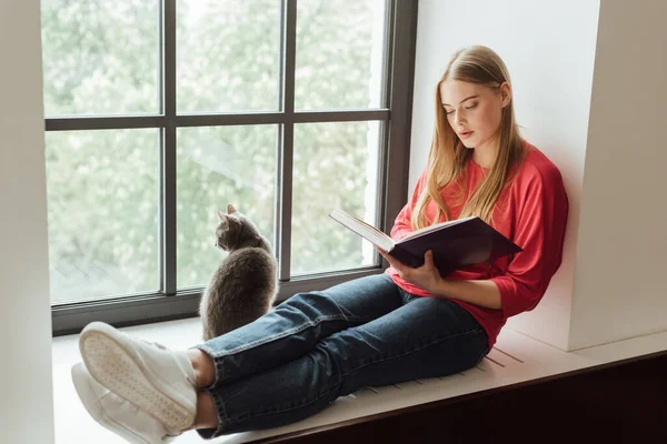 Belle fille assise sur le rebord de la fenêtre et le livre de lecture près de chat mignon — Photo de stock